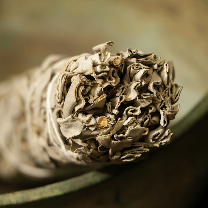 White Sage Smudge Sticks